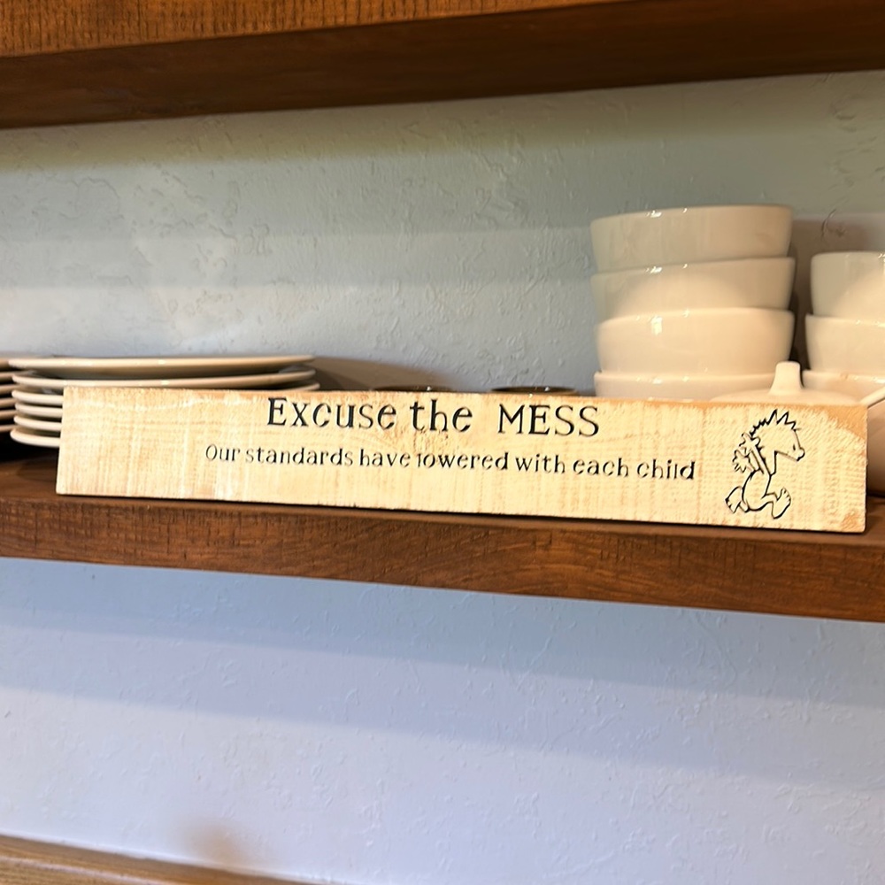 Handmade sign “excuse the mess our standards have lowered with each child”